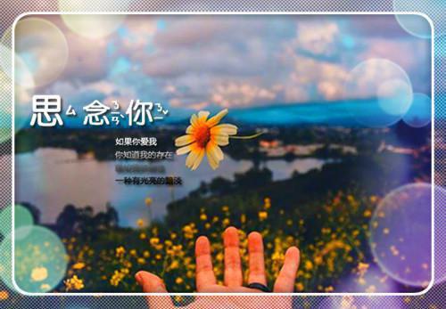 5个好处告诉你女人为什么要喝花茶？