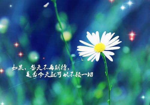 排毒祛痰养颜 常吃海带解决八大问题