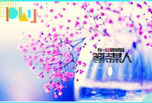 土豆的营养价值