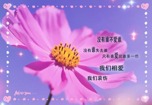 午餐吃不好 小心老得快！