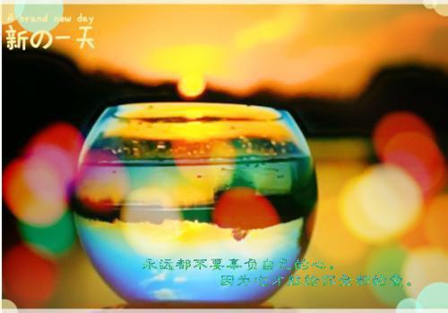 鸡蛋白八成是水分