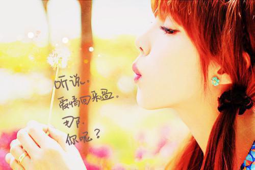 温补润肺养生系列之胡萝卜煲山药