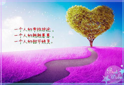 刺儿菜、大蓟的药用价值