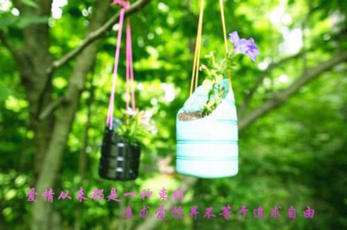 孕妇补钙可以吃这些