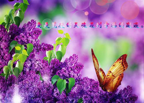 各类型感冒的食疗方