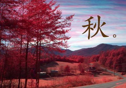 大人对新生儿的态度 将会影响他一生