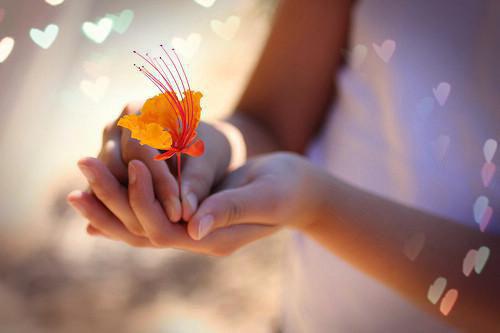 花椰菜可以抵御前列腺癌