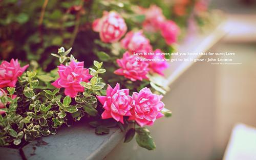 饮食帮你抵抗冬日腿冷