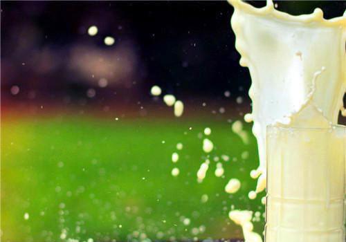 6款食疗的食谱，养胃没的说