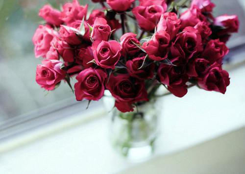 秋季十大食物润肺清热