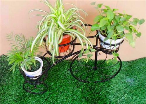 皮肚的营养价值剖析