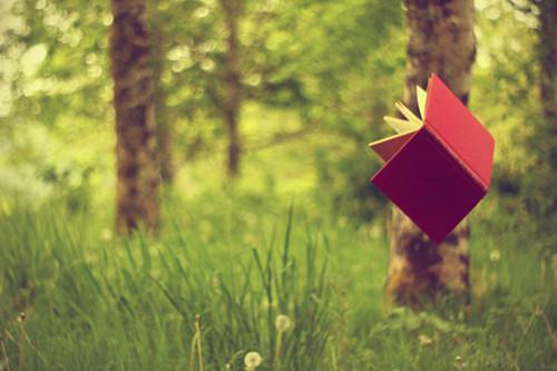 让男人更强壮的三种物质