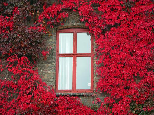 处暑养生:多睡 多吃 不过早