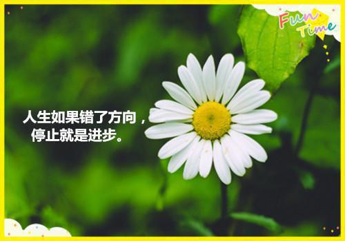 4款养生食物，夏季安神少不了