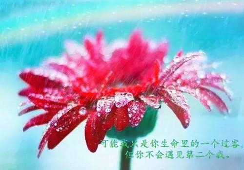 多吃“三黑”养生应顺时而为