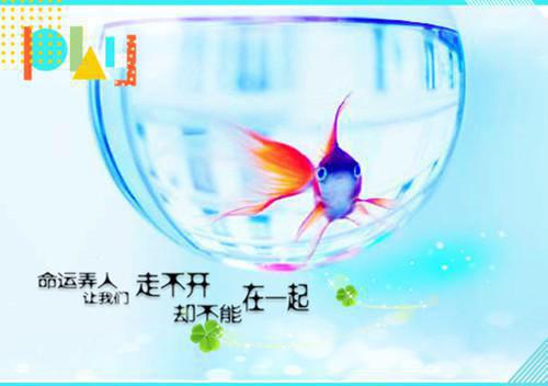 孕妇要注意，不要空腹服钙剂