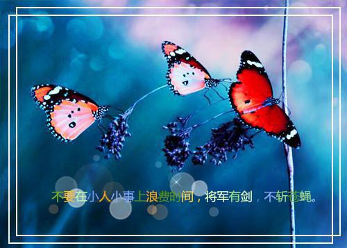 孕期真的要多吃水果吗？