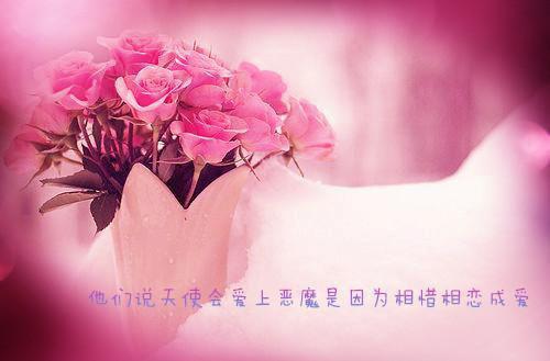 秋季进补最适合的四种素食宝贝