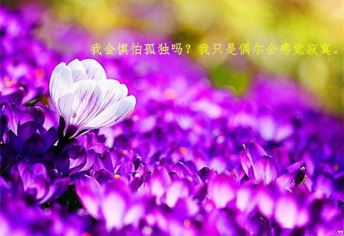 快速减肥，多吃这些蛋白质食物
