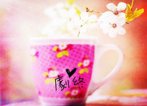 4款常见药茶，防病治病更养生