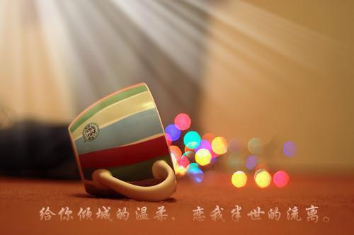 冬季吃什么蔬菜好