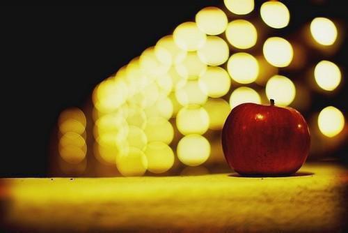 枸杞的药用价值