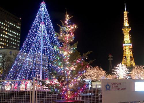 枸杞补肾 四个正确吃法才有效