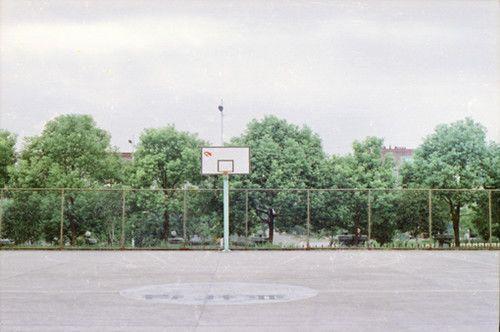 干虾仁的营养价值与做法