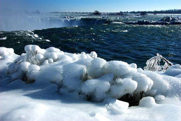 春季补气血，3种食物效果最不错