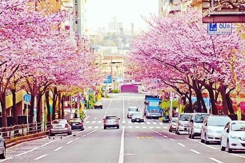 贫血的人一定要先补气