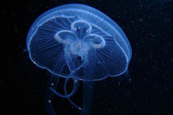 末伏养生，这样做更健康