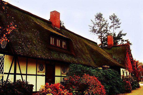 补充B族维生素 多吃点粗粮