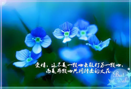 冬季如何吃出耐寒力