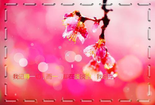 喝粥养生，调理肠胃从夏天开始