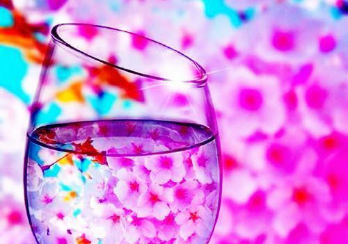 掉发要吃4类食物 调理体质是关键