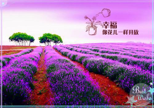 秋天易长胖，你该减秋膘了！
