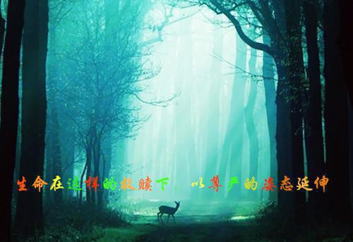 中医引导孕妇饮食 孕期健康平和