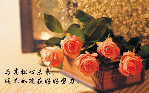 人体解毒功能揭秘