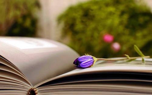 痰湿体质适合的几道药膳