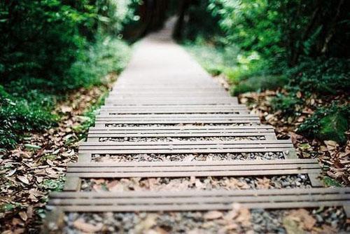 十二种蔬菜助养肝护肝