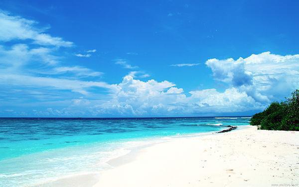 夜猫族吃什么保健康