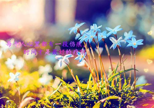 蜂蜜减肥法，三天一个过程
