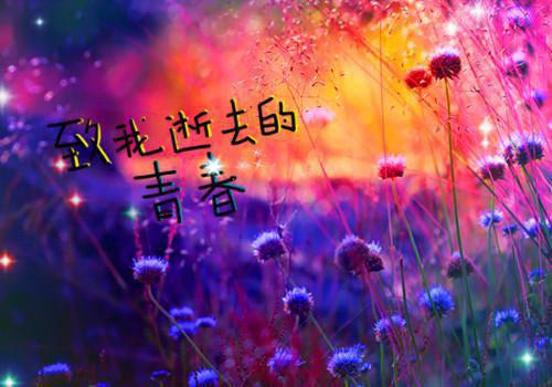 冬季孕妇吃羊肉的好处和禁忌