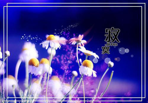 造成人体矿物质元素缺乏的因素