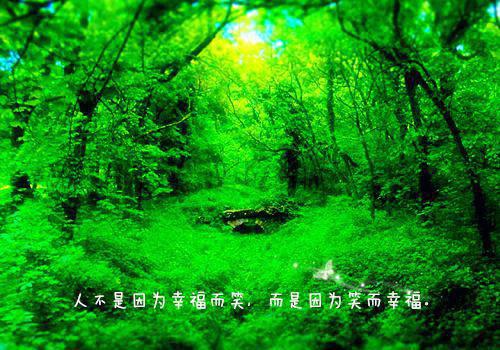 春季喝鸡汤是补肝的最好选择