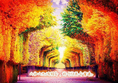 荷莲一身宝，清火又补血！