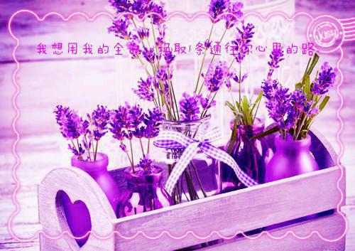 八款美食改变你的视力