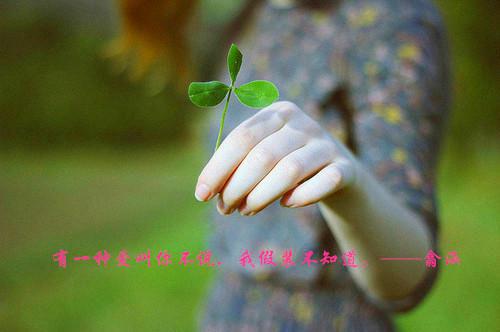 教您快速烹煮营养红豆汤