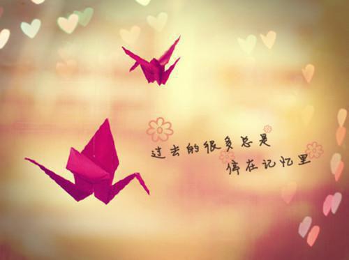 秋冬“阿胶”调补正当时