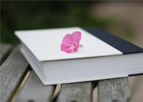 人体内的毒素有哪些？有何排毒法？